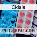 Cidala new14